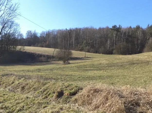 Dražba louky, Úštěk, 4600 m2