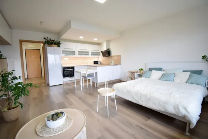Pronájem bytu 1+kk, Olomouc - Povel, Slavonínská, 41 m2