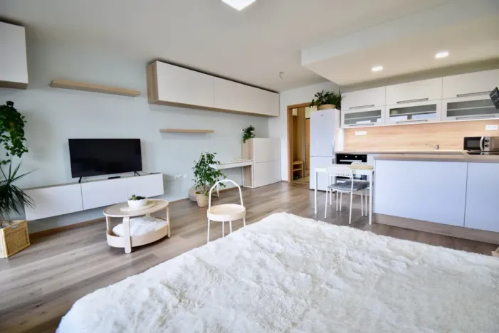 Pronájem bytu 1+kk, Olomouc - Povel, Slavonínská, 41 m2