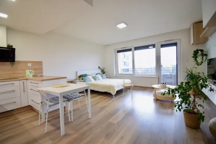 Pronájem bytu 1+kk, Olomouc - Povel, Slavonínská, 41 m2