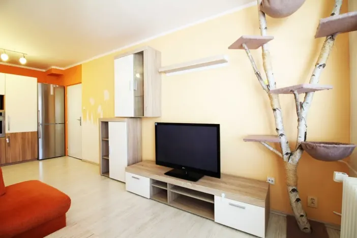 Pronájem bytu 2+kk, Olomouc - Nová Ulice, Pionýrská, 54 m2