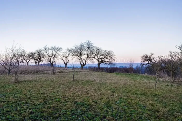 Prodej zahrady, Chotěboř, Hromádky z Jistebnice, 5327 m2
