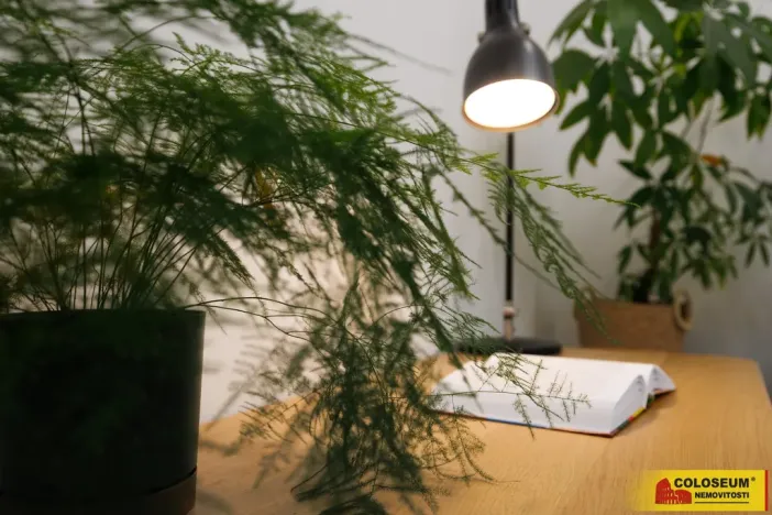 Prodej bytu 4+1, Hodonín, 90 m2