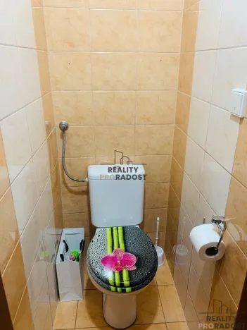 Pronájem bytu 2+1, Zaječí, Domky, 65 m2