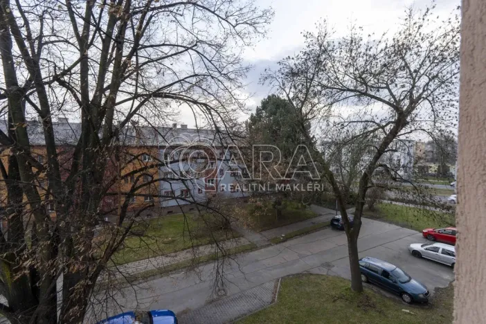 Pronájem bytu 2+1, Ostrava - Hrabůvka, U Nové školy, 50 m2