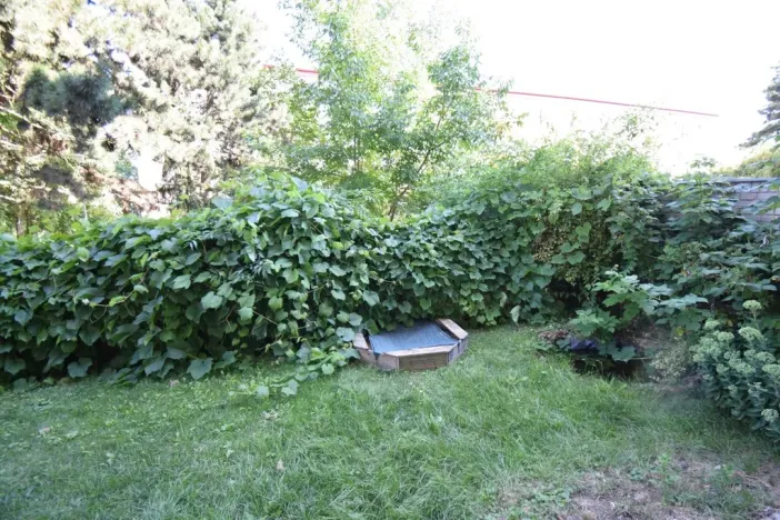 Pronájem bytu 2+1, Brno - Kohoutovice, Stamicova, 47 m2