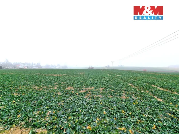 Prodej pozemku pro bydlení, Štěpánkovice, 5343 m2