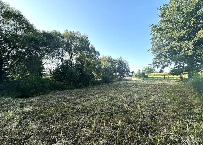 Prodej pozemku pro bydlení, Sedlice, 771 m2