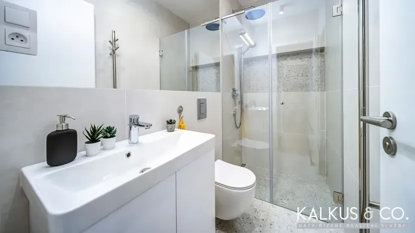 Pronájem bytu 2+kk, Hradec Králové, Eliščino nábřeží, 30 m2