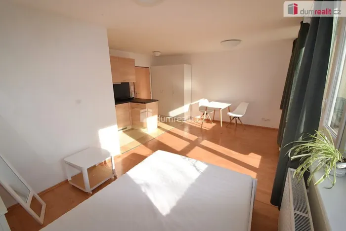 Pronájem bytu 1+kk, Praha - Smíchov, Nad Palatou, 27 m2
