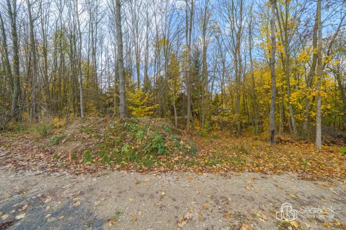 Prodej pozemku pro bydlení, Dolní Rychnov, 1569 m2