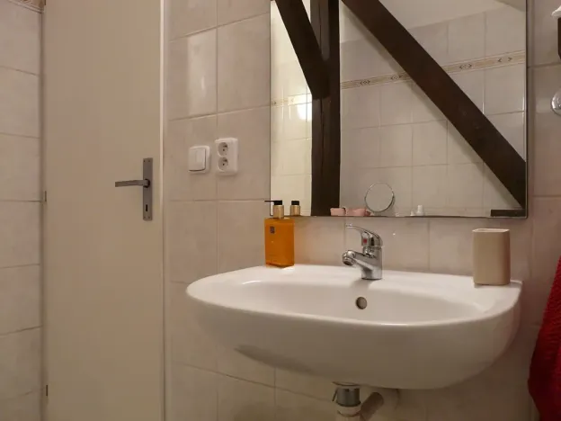 Pronájem bytu 1+1, Brno, Zvěřinova, 53 m2