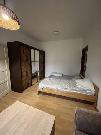 Pronájem bytu 1+1, Olomouc, 17. listopadu, 42 m2