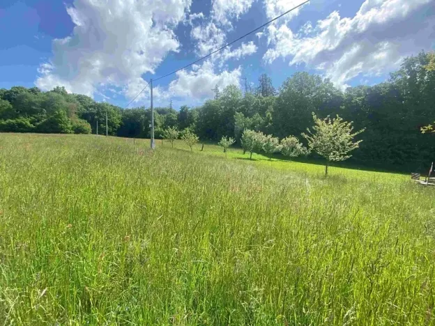 Dražba pozemku, Odry, 574 m2