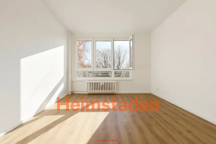 Pronájem bytu 3+1, Frýdek-Místek - Místek, Československé armády, 80 m2