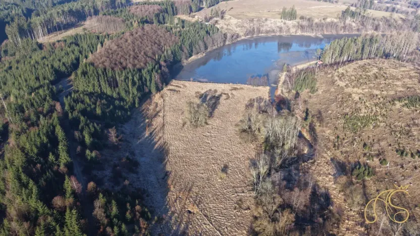 Prodej pozemku, Opatov, 12118 m2