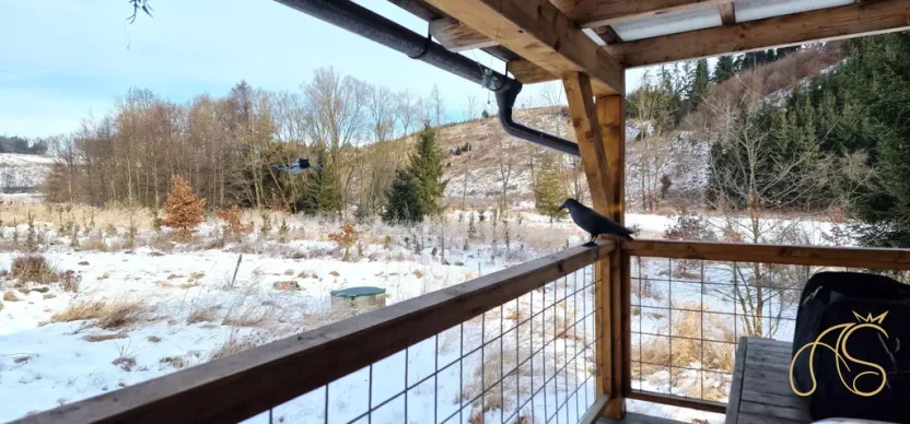 Prodej pozemku, Opatov, 12118 m2