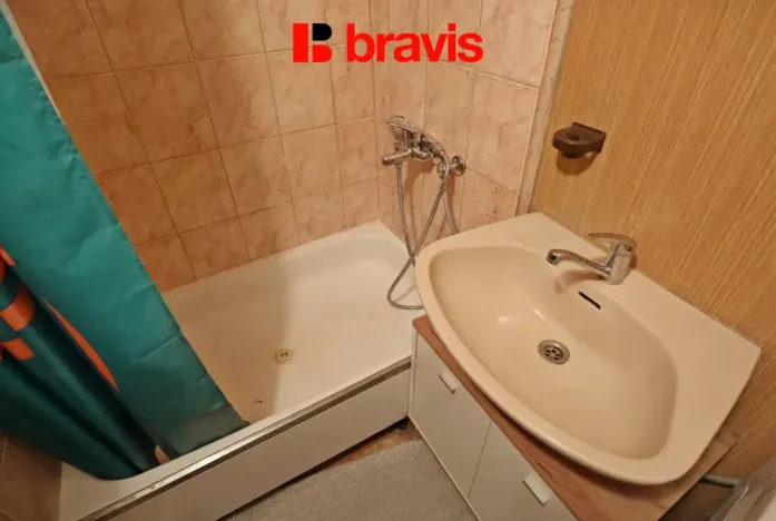 Pronájem bytu 1+1, Brno - Veveří, Antonínská, 53 m2