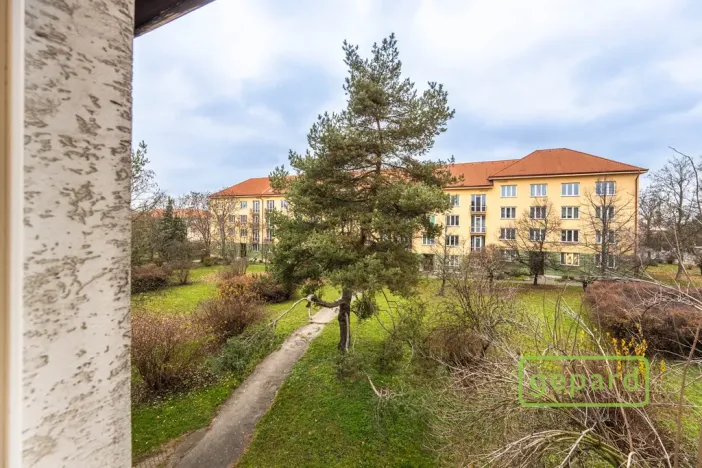 Pronájem kanceláře, Praha, Světická, 188 m2