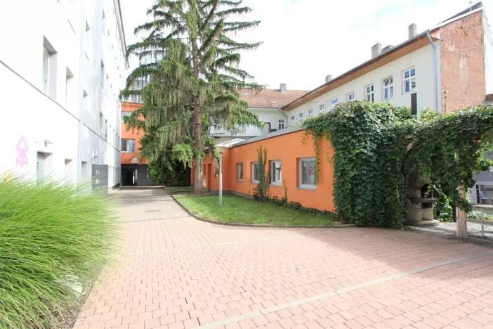 Pronájem bytu 1+kk, Brno, Cejl, 10 m2