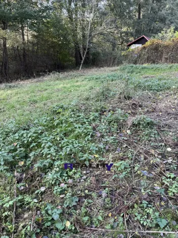 Prodej zahrady, Struhařov, V Zahradách, 397 m2