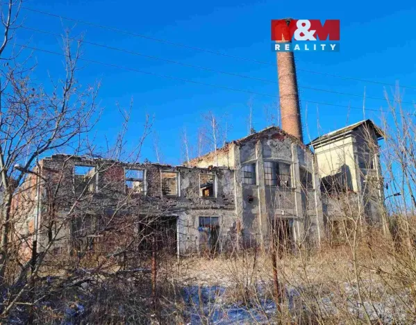 Prodej výrobních prostor, Ryžoviště, Tovární, 500 m2