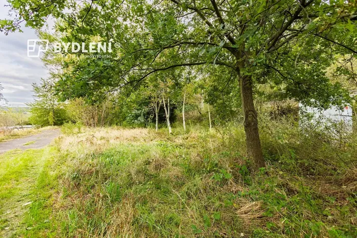 Prodej zahrady, Malé Žernoseky, 1568 m2