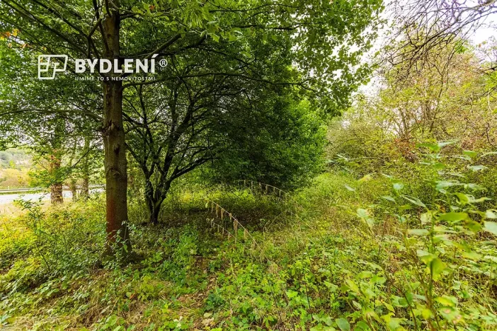 Prodej zahrady, Malé Žernoseky, 1568 m2