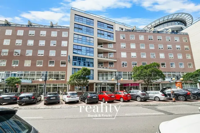 Prodej bytu 4+1, Brno, Příkop, 181 m2