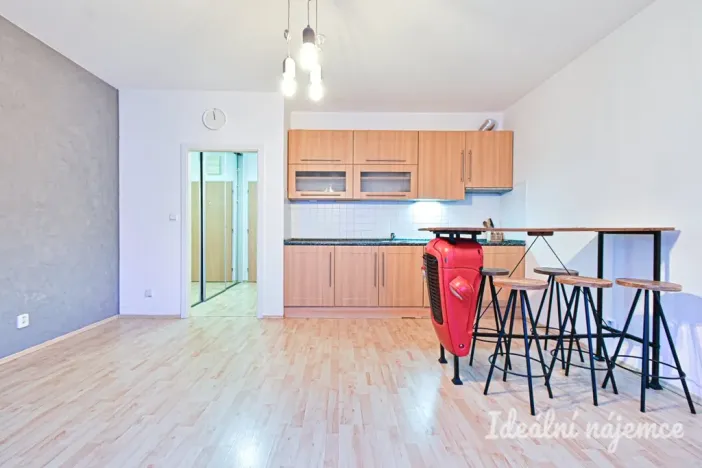 Pronájem bytu 1+kk, Brno - Staré Brno, Trýbova, 34 m2