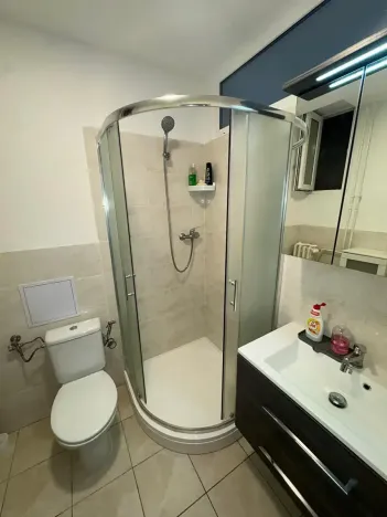 Pronájem bytu 1+kk, Brno, Dřevařská, 30 m2