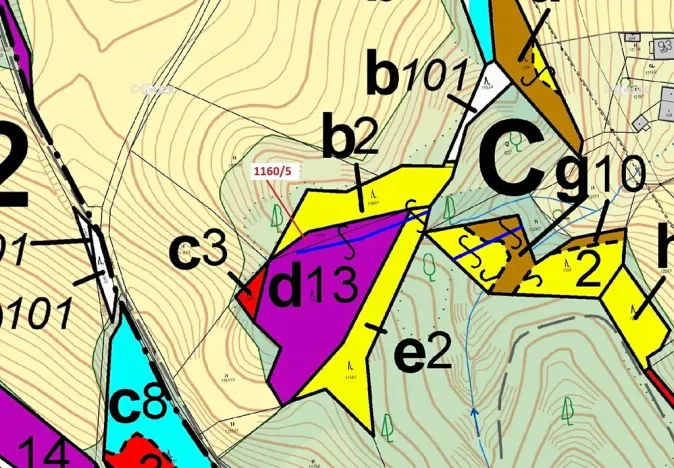 Dražba lesa, Letohrad, 282 m2