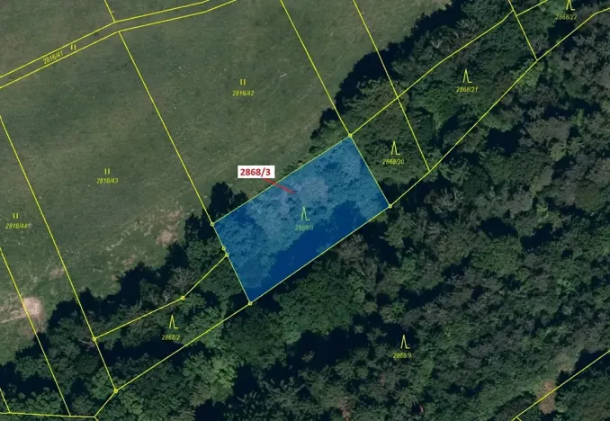 Dražba lesa, Píšť, 1321 m2