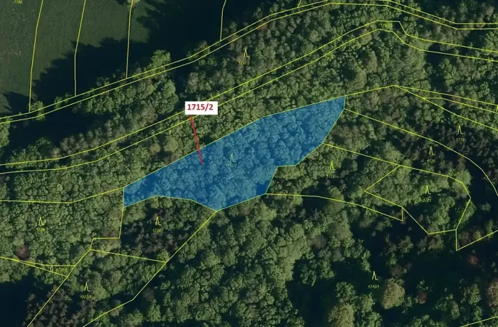 Dražba lesa, Valašská Polanka, 2632 m2