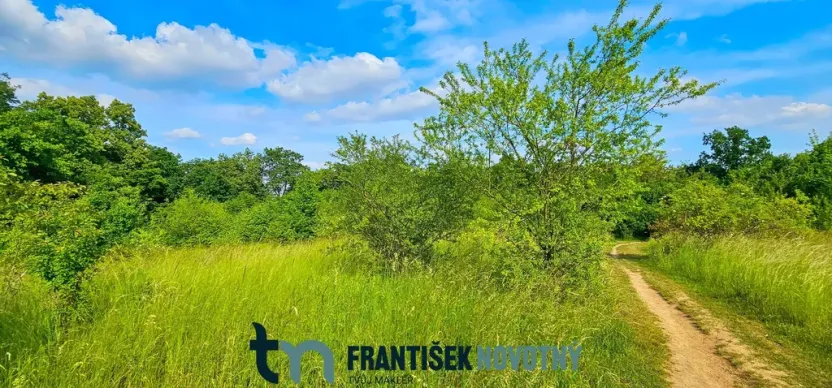 Prodej pozemku, Brno, Sedlička, 3622 m2