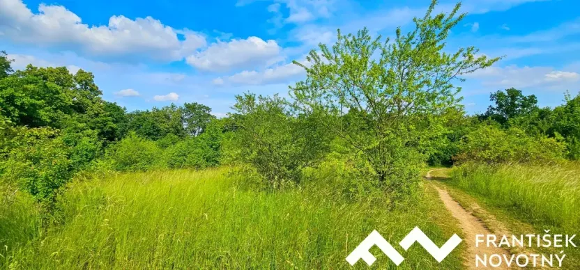 Prodej pozemku, Brno, Sedlička, 3622 m2