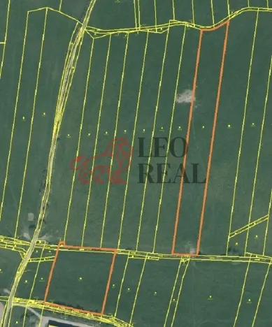 Prodej pole, Vstiš, 76424 m2