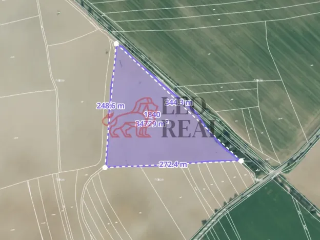 Prodej pole, Vstiš, 76424 m2