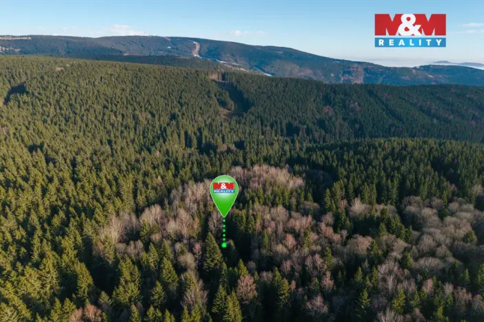 Prodej chaty, Jáchymov - Nové Město, 195 m2