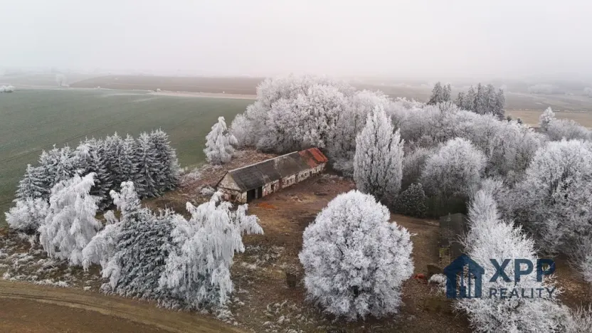 Prodej pozemku pro bydlení, Mladá Vožice, 5010 m2