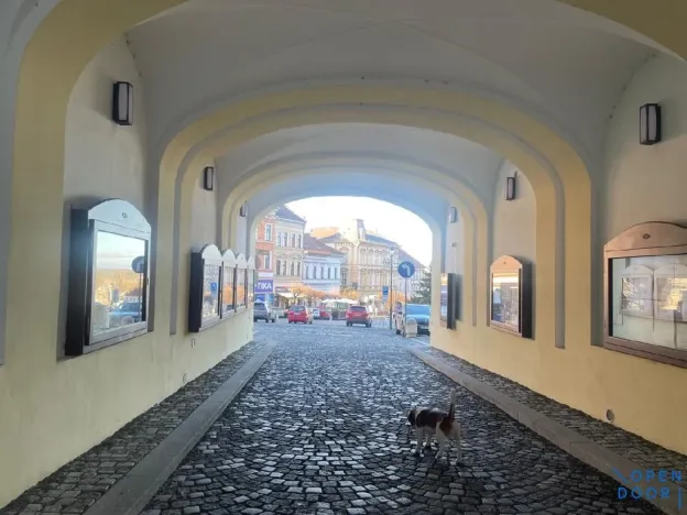 Pronájem bytu 1+1, Roudnice nad Labem, Karlovo náměstí, 38 m2