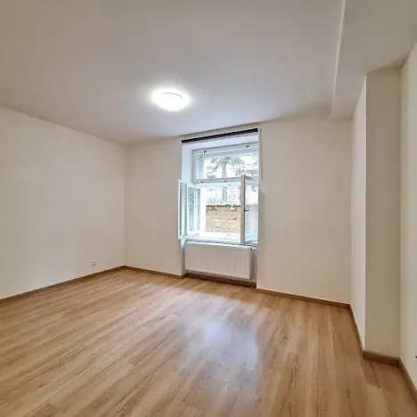 Pronájem bytu 1+kk, Praha - Bubeneč, U zeměpisného ústavu, 26 m2