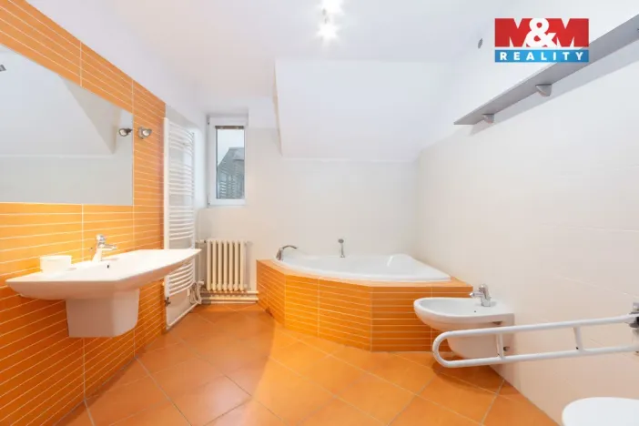 Prodej rodinného domu, Otice, Domky, 330 m2