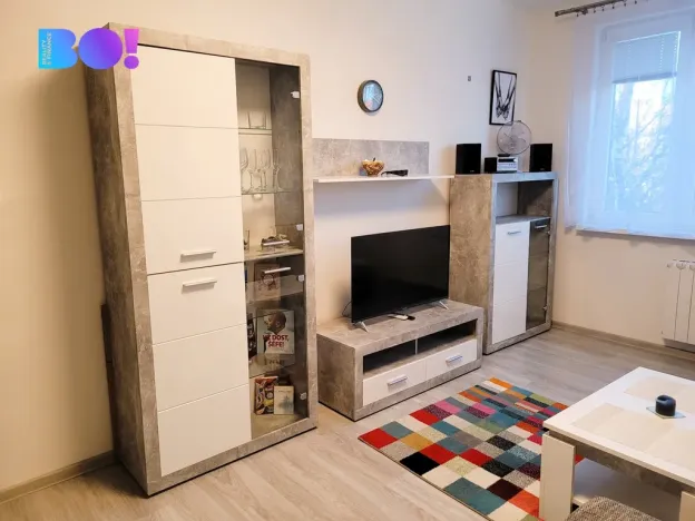 Pronájem bytu 1+1, Karviná, Flemingova, 37 m2