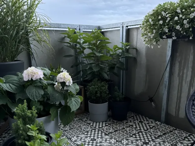 Prodej bytu 2+kk, Horoměřice, Žižkova, 53 m2