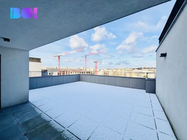 Pronájem bytu 5+kk, Ostrava, F. X. Riepla, 171 m2