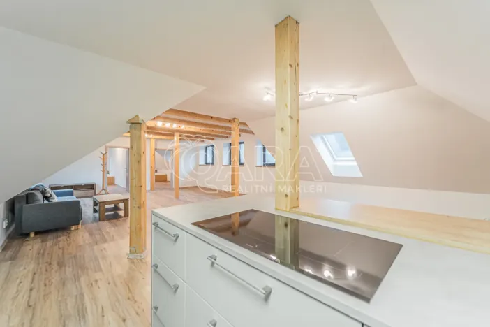 Pronájem bytu 4+kk, Srbsko, Nad Kapličkou, 180 m2