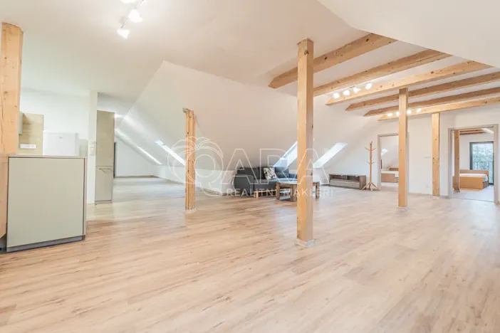 Pronájem bytu 4+kk, Srbsko, Nad Kapličkou, 180 m2