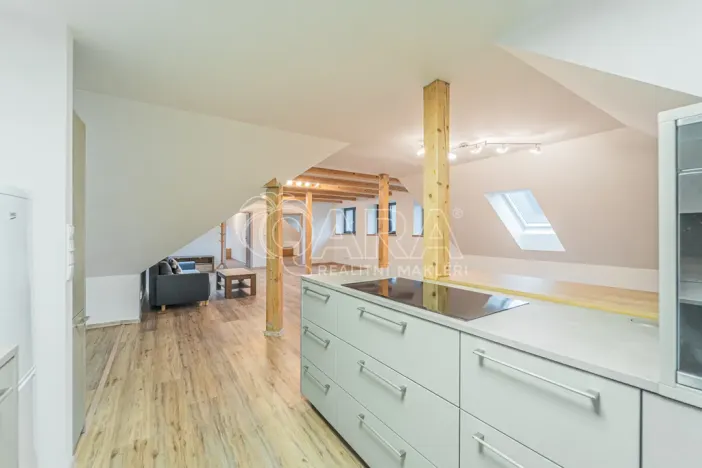 Pronájem bytu 4+kk, Srbsko, Nad Kapličkou, 180 m2