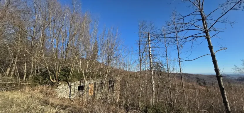 Prodej komerčního pozemku, Petrovice, 151 m2